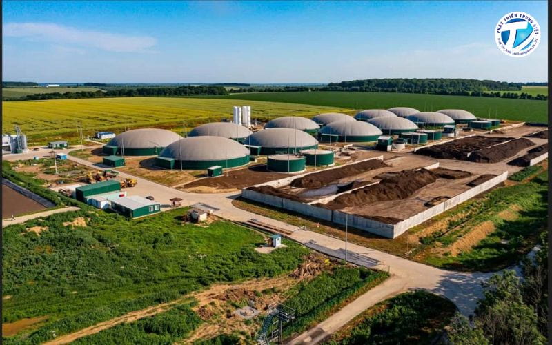 Gỗ, rơm rạ, trấu và phụ phẩm nông nghiệp là những nguồn nguyên liệu phổ biến để sản xuất năng lượng sinh khối.